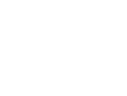 غذای اصلی